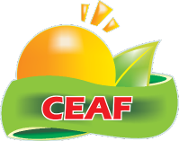 Ceaf